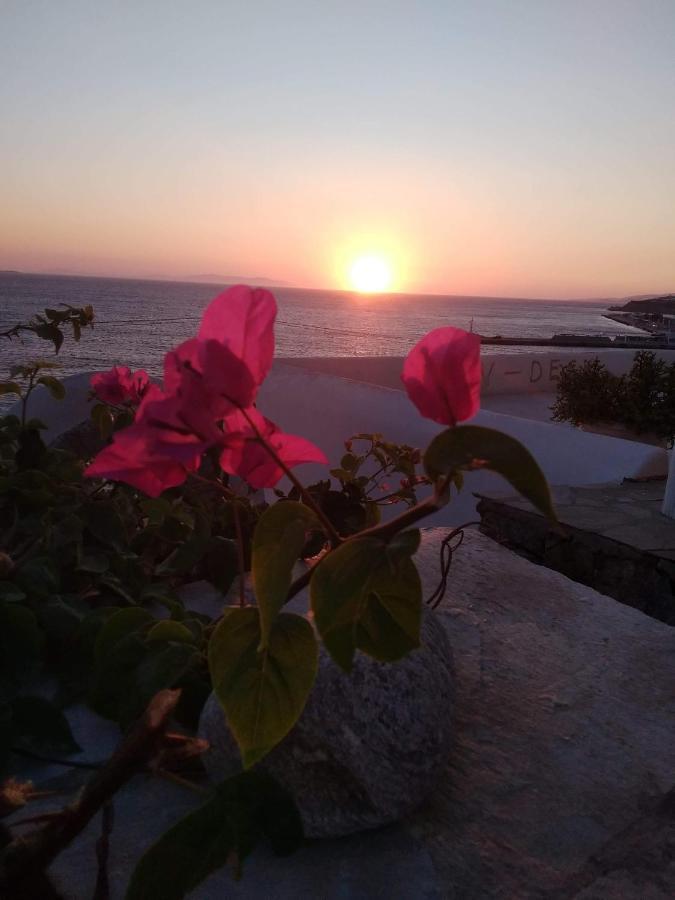 4bd Blue Dream Mykonos Hébergement de vacances Mykonos Town