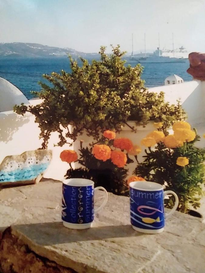 4bd Blue Dream Mykonos Hébergement de vacances